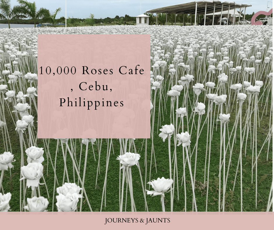 10,000 Roses Cafe