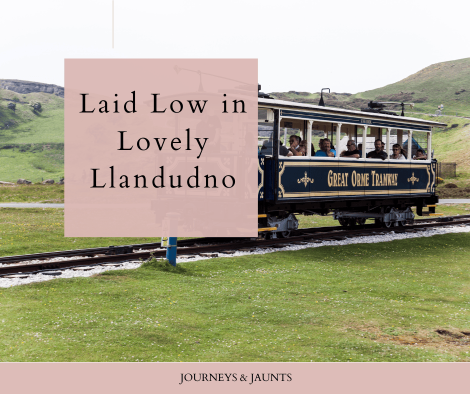 Laid Low in Lovely Llandudno