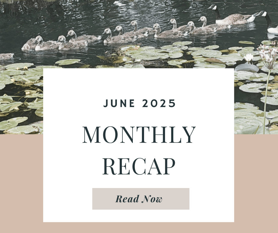Wrapping Up June&nbsp;2025
