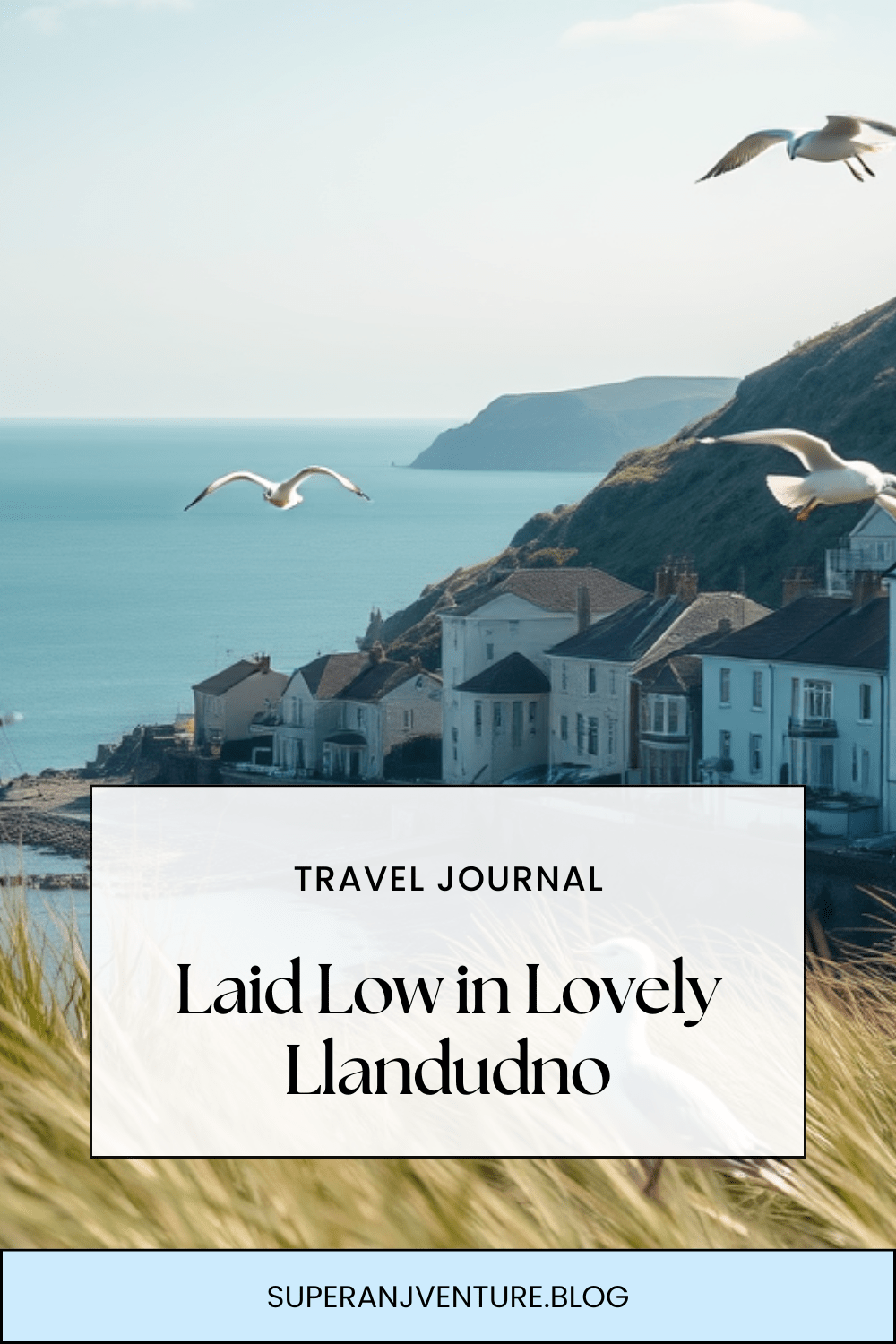 Laid Low in Lovely&nbsp;Llandudno