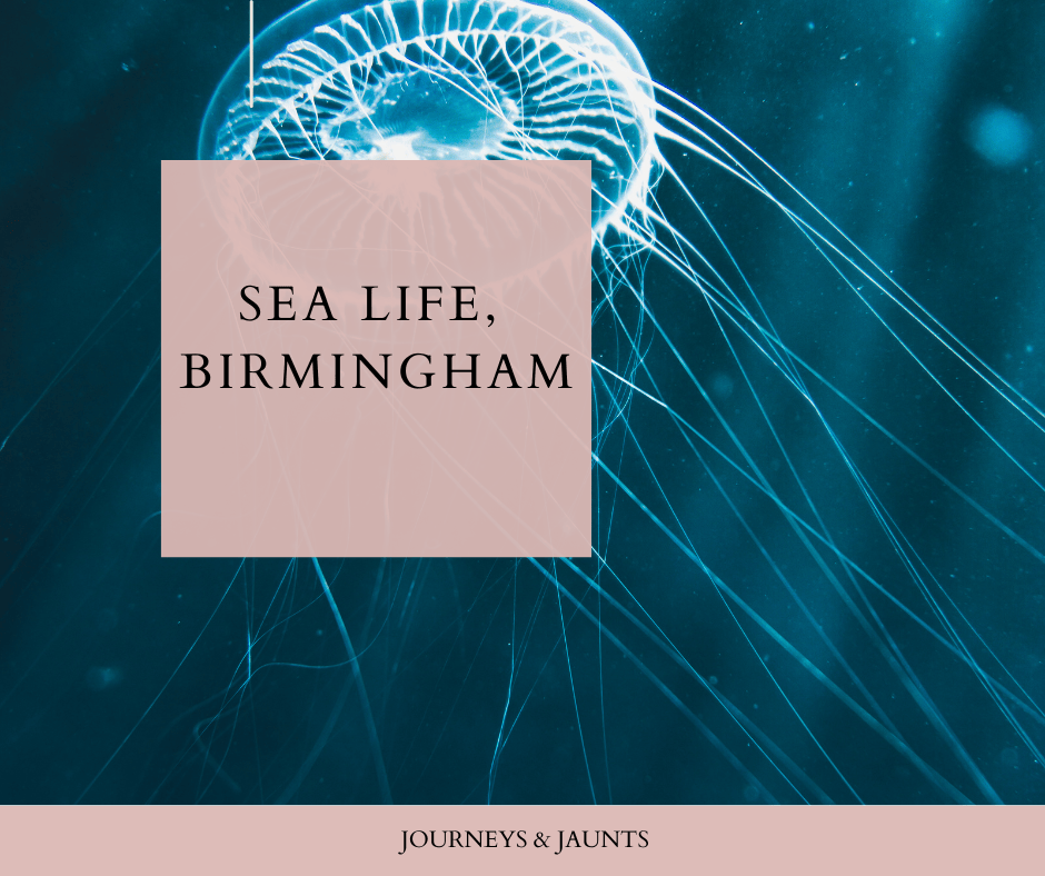 The Art of Floating- BIRMINGHAM