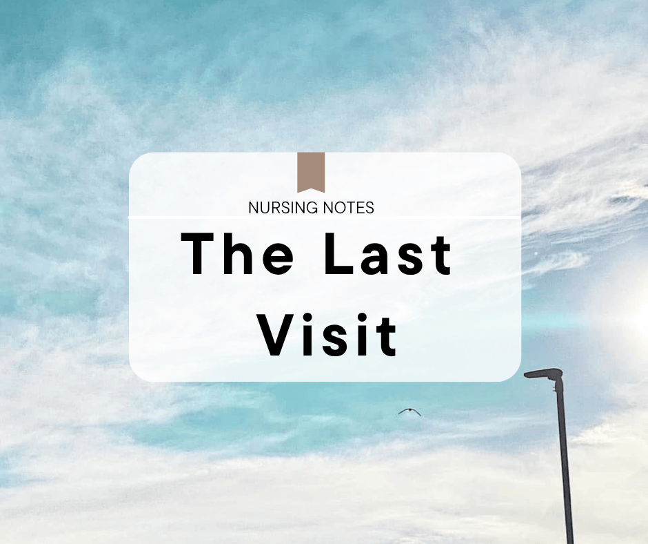 The Last Visit