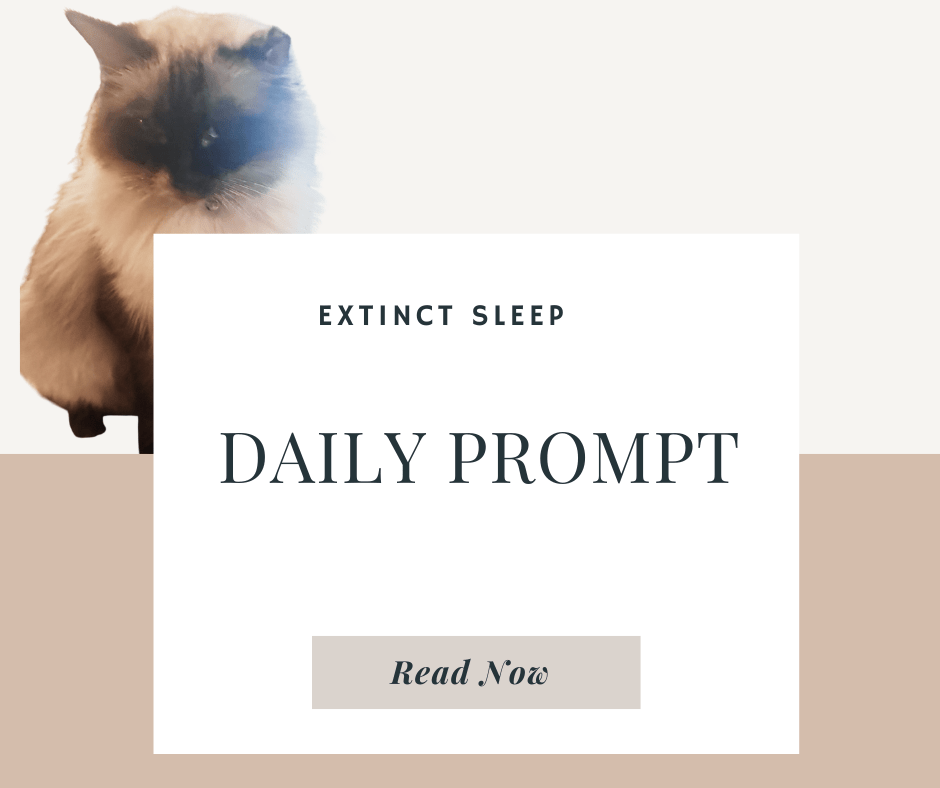 Extinct Sleep and Sleepless&nbsp;Thoughts