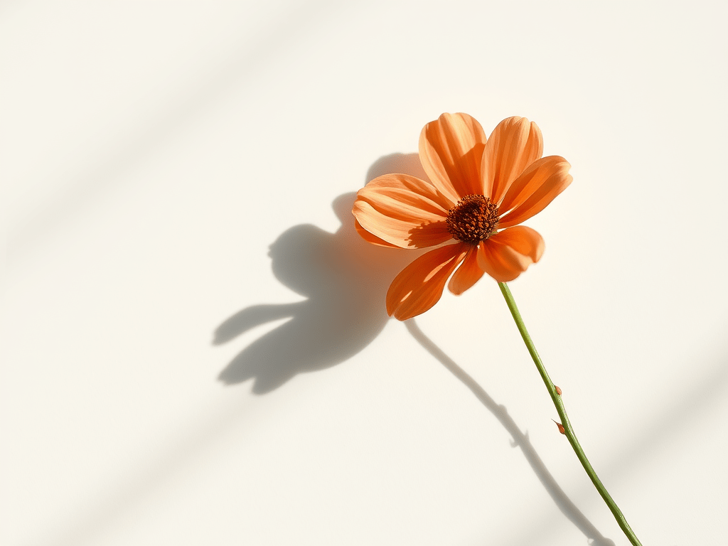 SUNDAY SLOW DIARY:&nbsp;HUMILITY