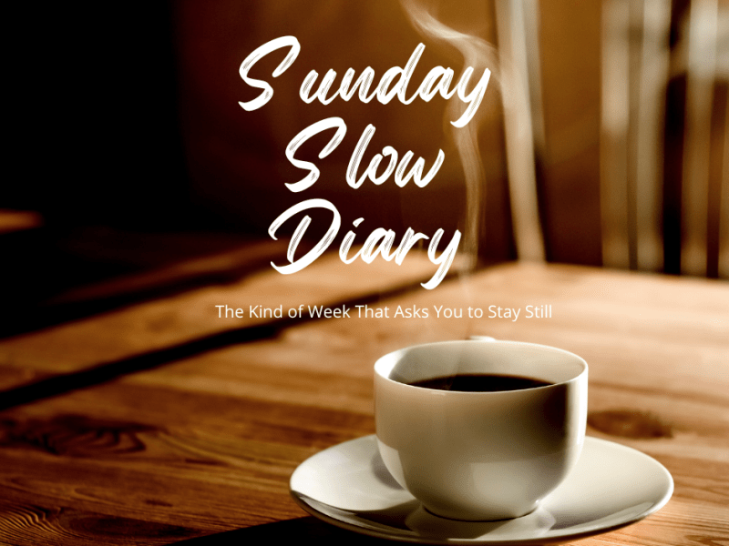Sunday Slow Diary: The Kind of Week That Asks You to Stay&nbsp;Still