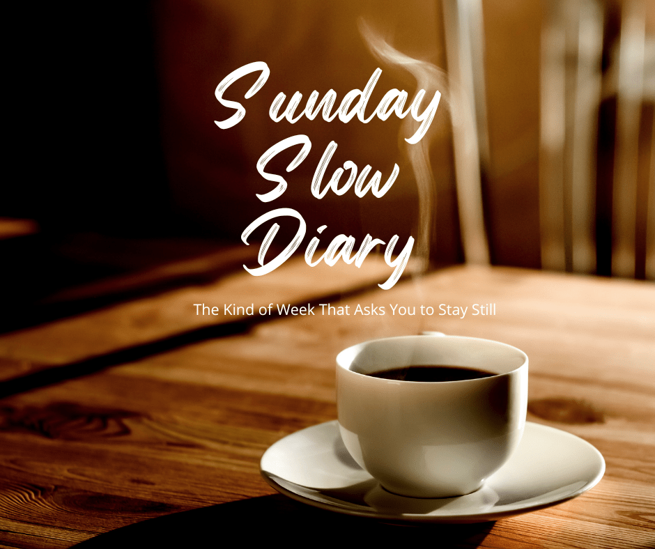 Sunday Slow Diary: The Kind of Week That Asks You to Stay&nbsp;Still