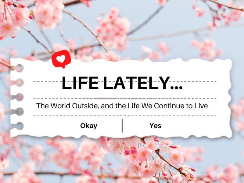 The World Outside, and the Life We Continue to&nbsp;Live