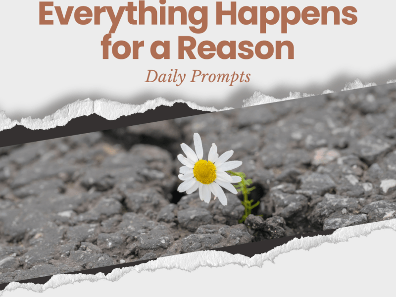 Everything Happens For A&nbsp;Reason